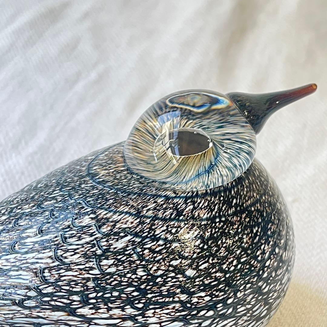 希少入手困難品　 オイバトイッカ イッタラバード コモンクイナ