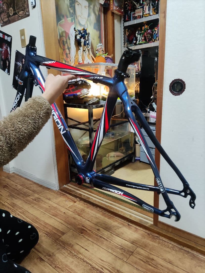 TRIGONトバイクフレーム カーボン フレームのみ! Xs フレーム