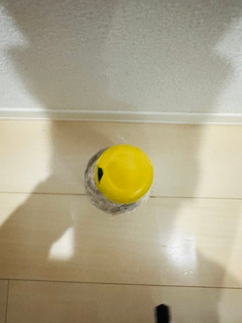 ドメーヌ　ガヌヴァ　グランテップ・ヴィエイユ・ヴィーニュ 2016