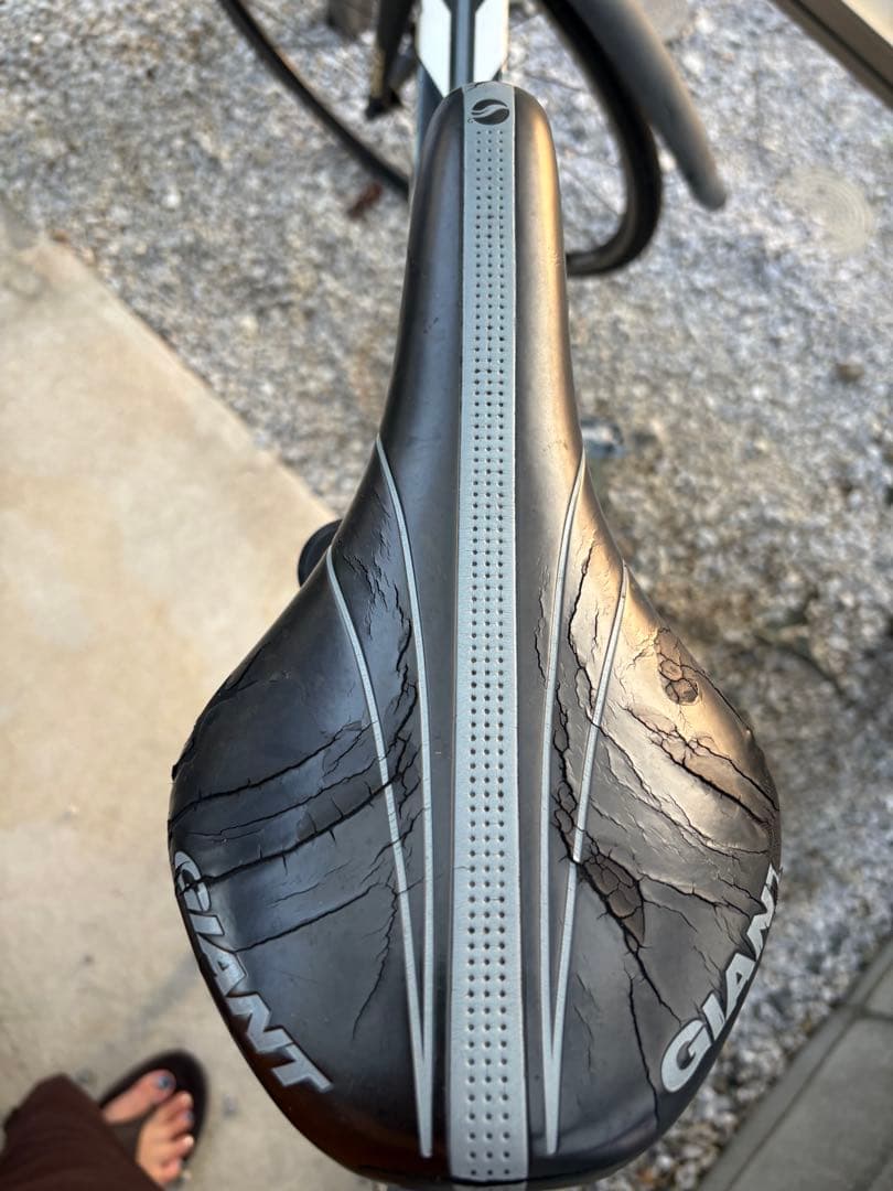 こっけ　　　　　　　　　　　GIANT ESCAPER X Mサイズ