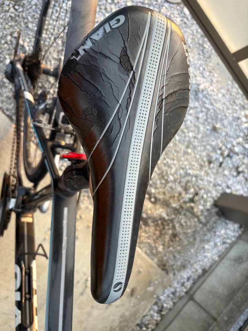 こっけ　　　　　　　　　　　GIANT ESCAPER X Mサイズ