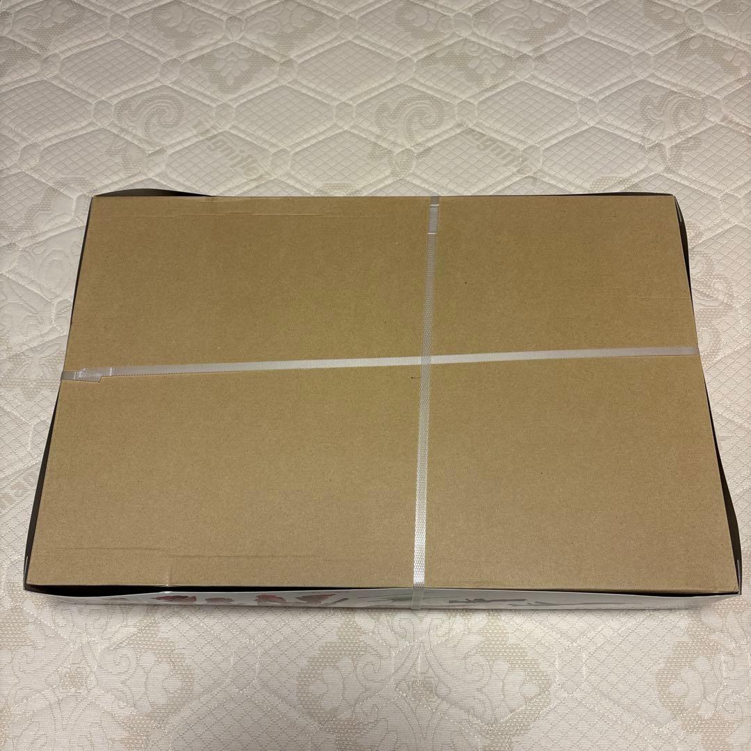 MG 1/100 サザビー Ver.Ka 【未開封】