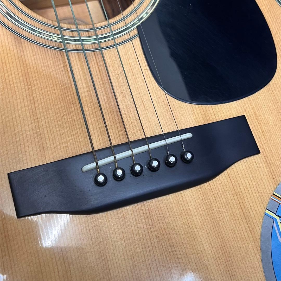 モーリス Morris W-50 アコースティックギター ハードケース付き