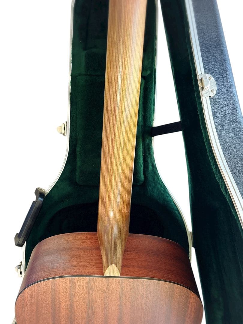 Martin & Co. DXM Dreadnought アコースティックギター