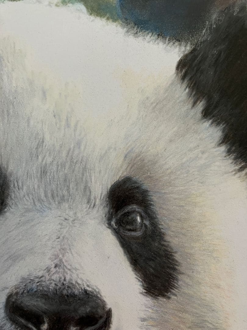 “やっほい” 色鉛筆画 パステル パンダ