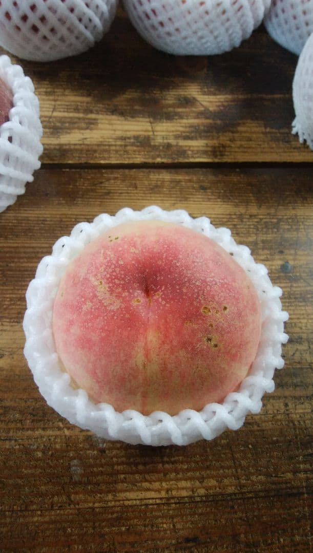 Mamamummyさん専用　特大　桃　さくら白桃　わけあり　10kg