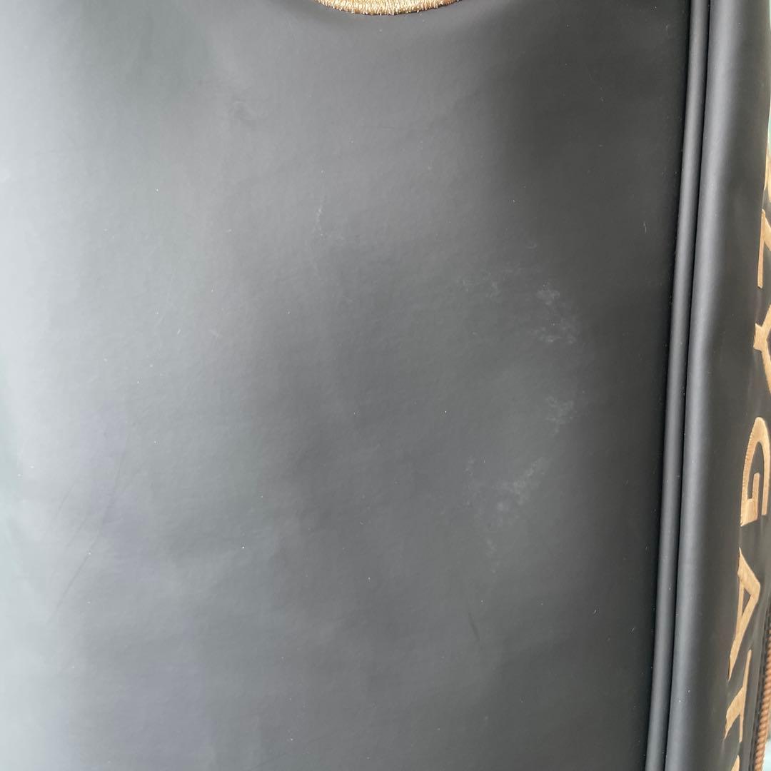 PGレオパード柄キャディバック