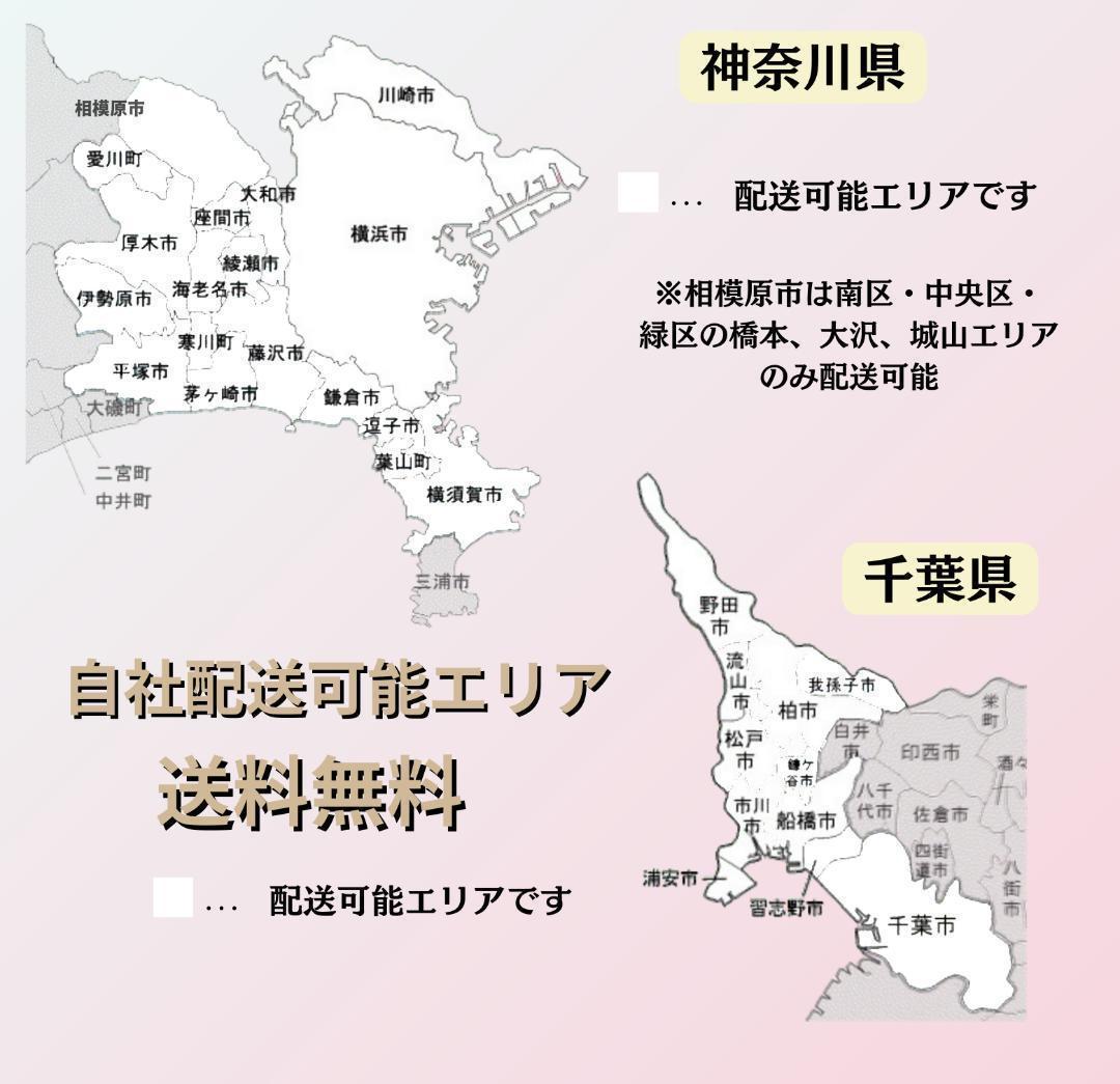 送料無【１年保証】DX 新品部品 整備士 子供乗せ１６Ah　クルーム電動自転車