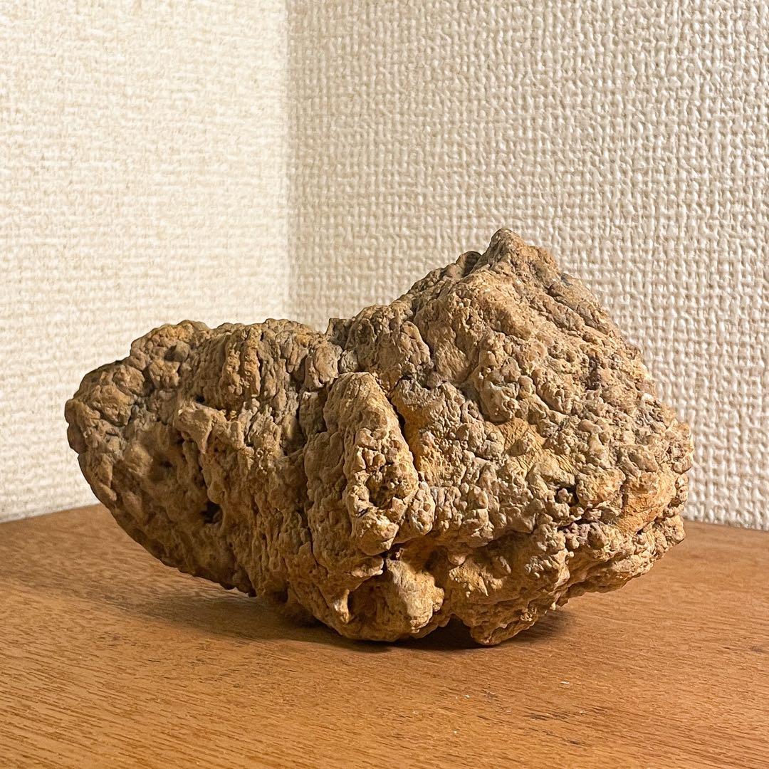 恐竜の糞（コプラライト）900g