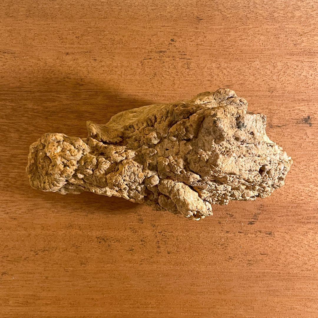 恐竜の糞（コプラライト）900g