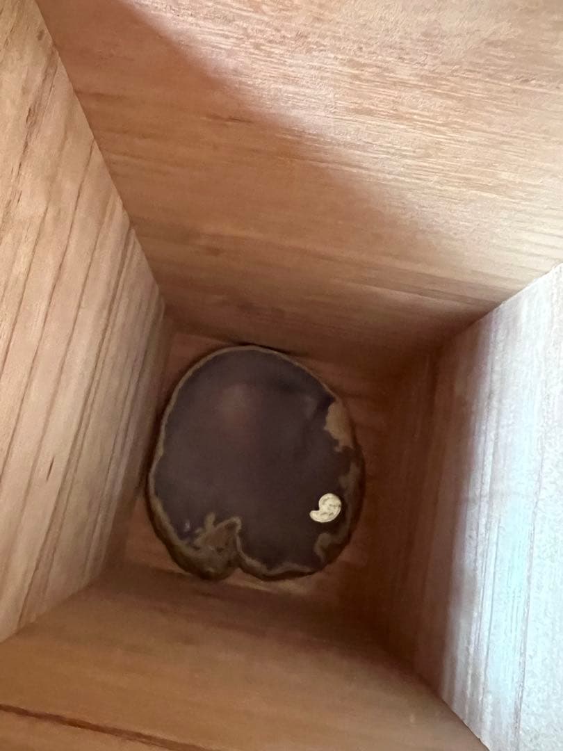 蝋型鋳物　松鷹地紋　香炉 獅子の彫刻付き 台座付き