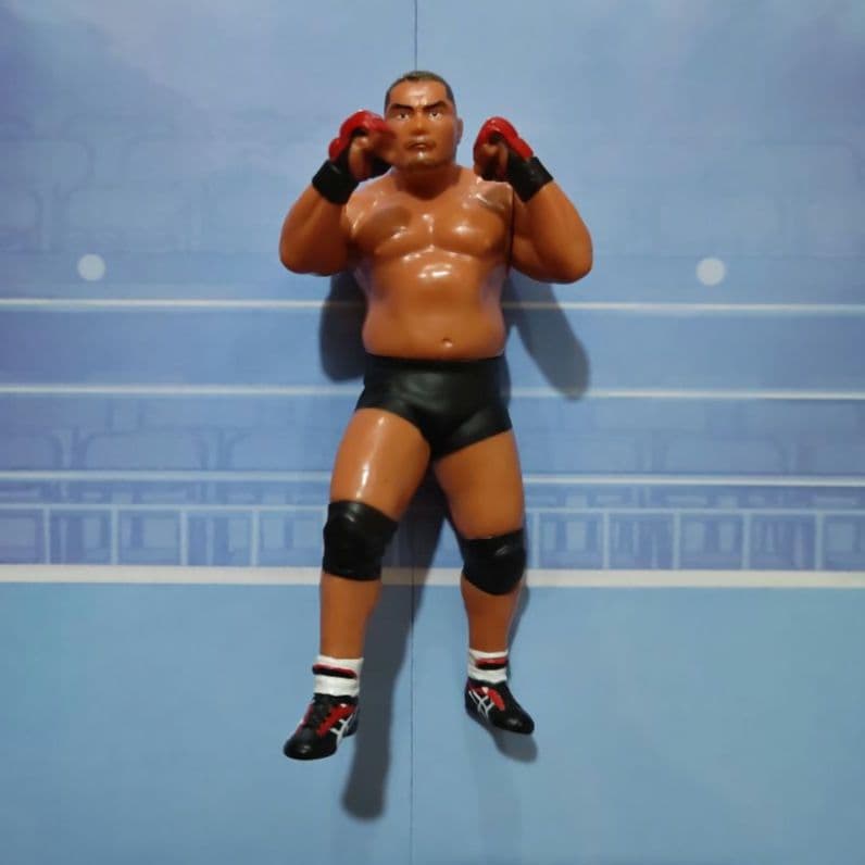ボブ・サップ　中西学　プロレスフィギュアセット