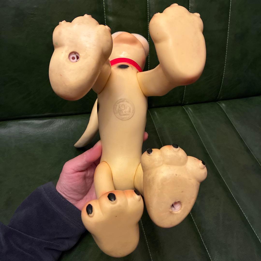 レア Ledraplastic Pluto ラバードール Large