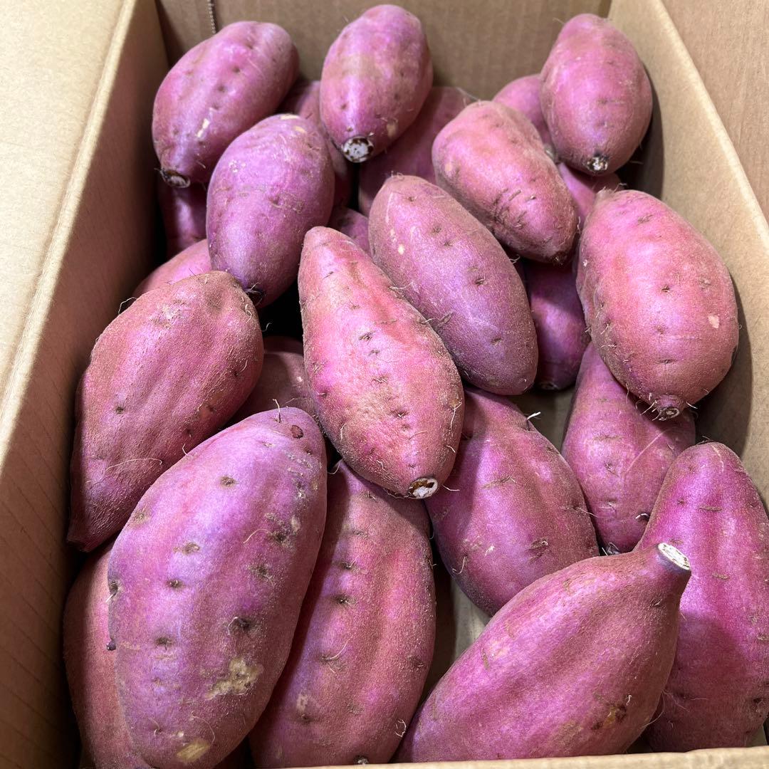 栗かぐや Mサイズ 20kg ホクホク系 さつまいも