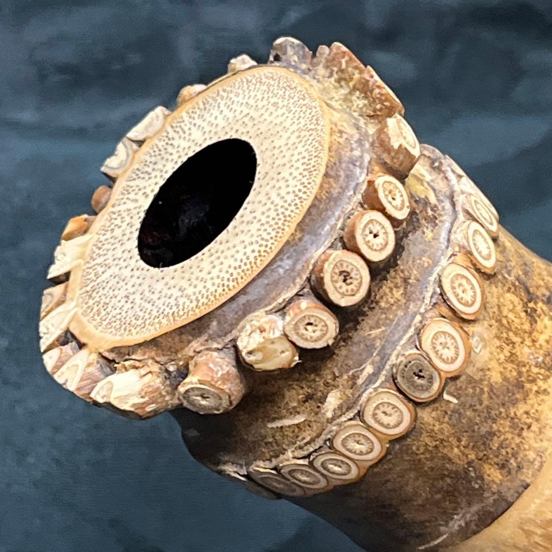 尺八 琴古流 在銘 二尺管 籐巻 銀巻 【音出し確認済み】