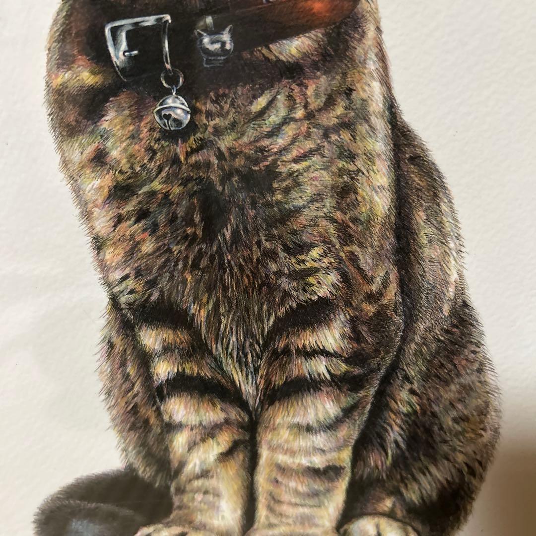 絵画　猫のまなざし限定版 10/180 江夏画廊　猫