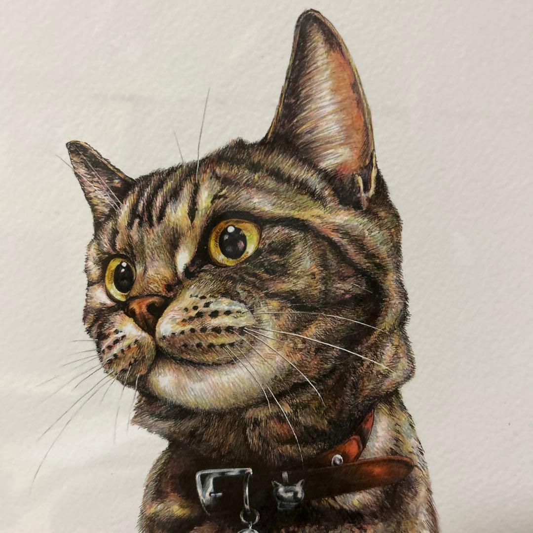 絵画　猫のまなざし限定版 10/180 江夏画廊　猫