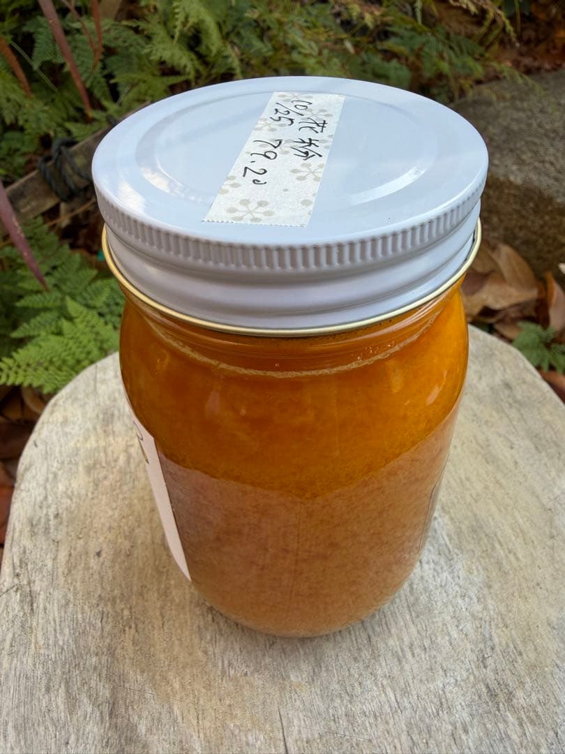 ハチミツ　日本蜜蜂の蜂蜜　花粉入りはちみつ　奥山の奥