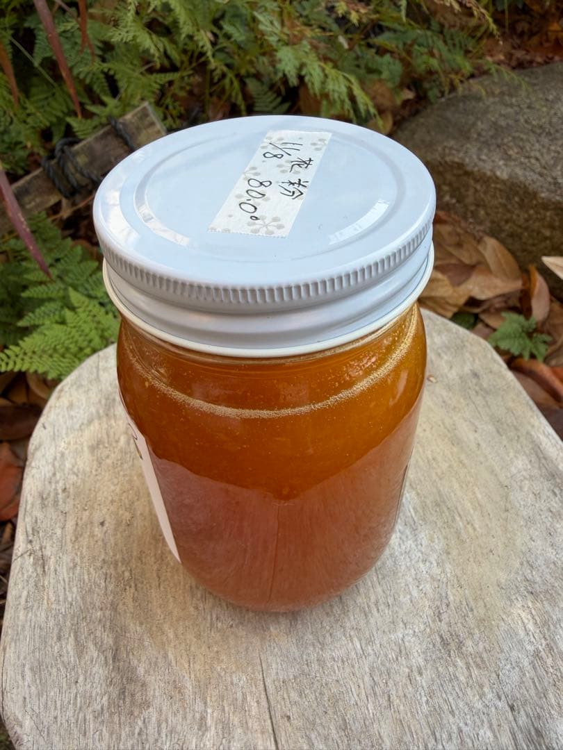 ハチミツ　日本蜜蜂の蜂蜜　花粉入りはちみつ　奥山の奥