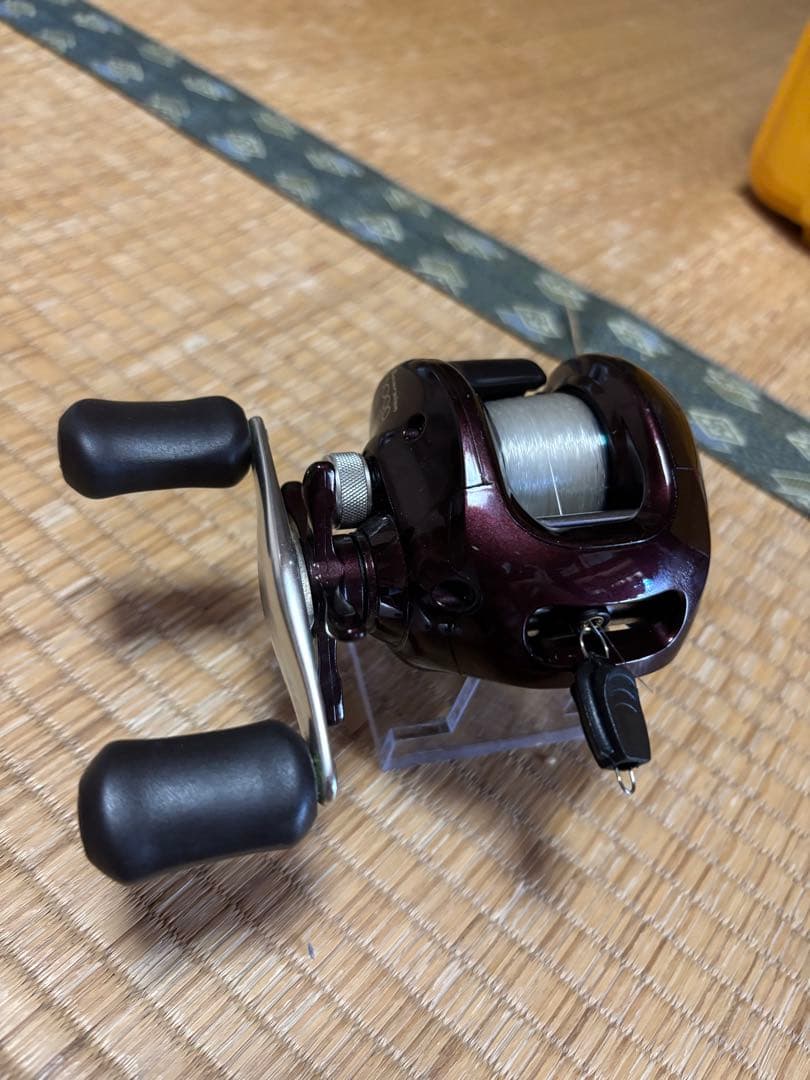 M Iwamoto スコーピオン1000とTDZ