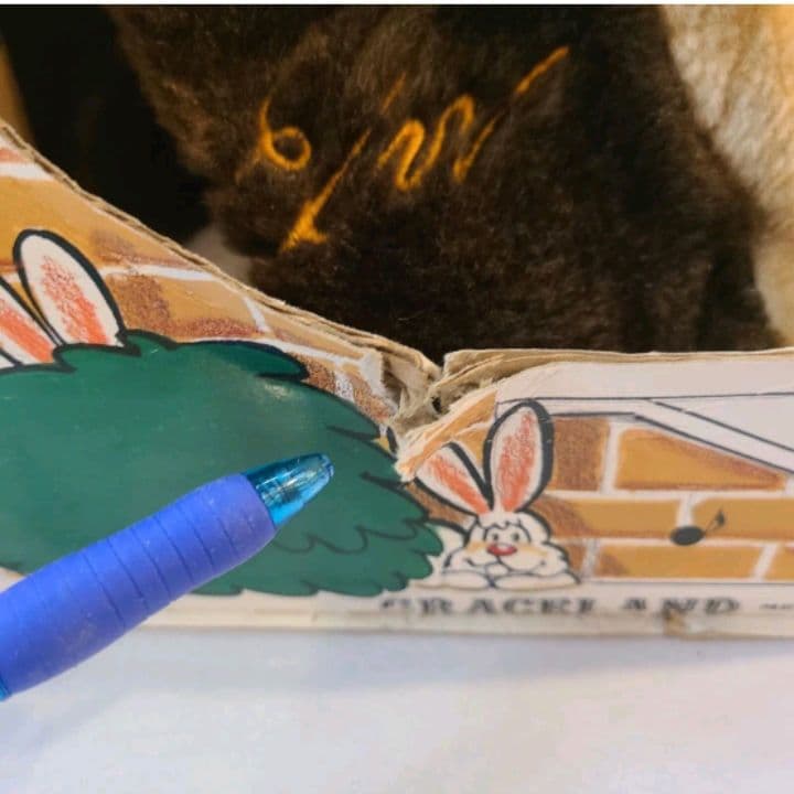 1986年　エルヴィス・プレスリー　ハウンド・ドッグ　ミュージカル玩具　15\"