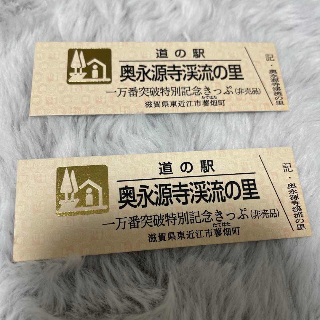 奥永源寺渓流の里 開駅10周年&1万番突破特別記念きっぷ 2枚セット