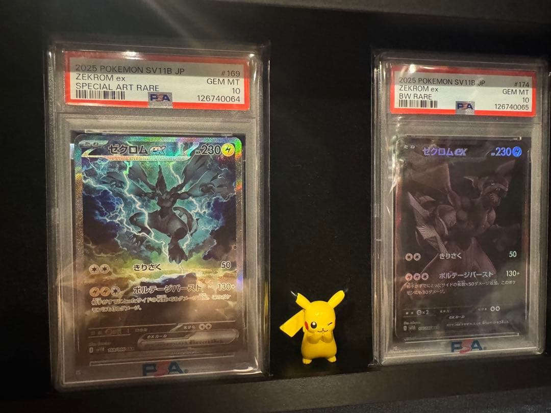 【PSA10連番】ゼクロムex BWR & SAR セット ブラックボルト鑑定品