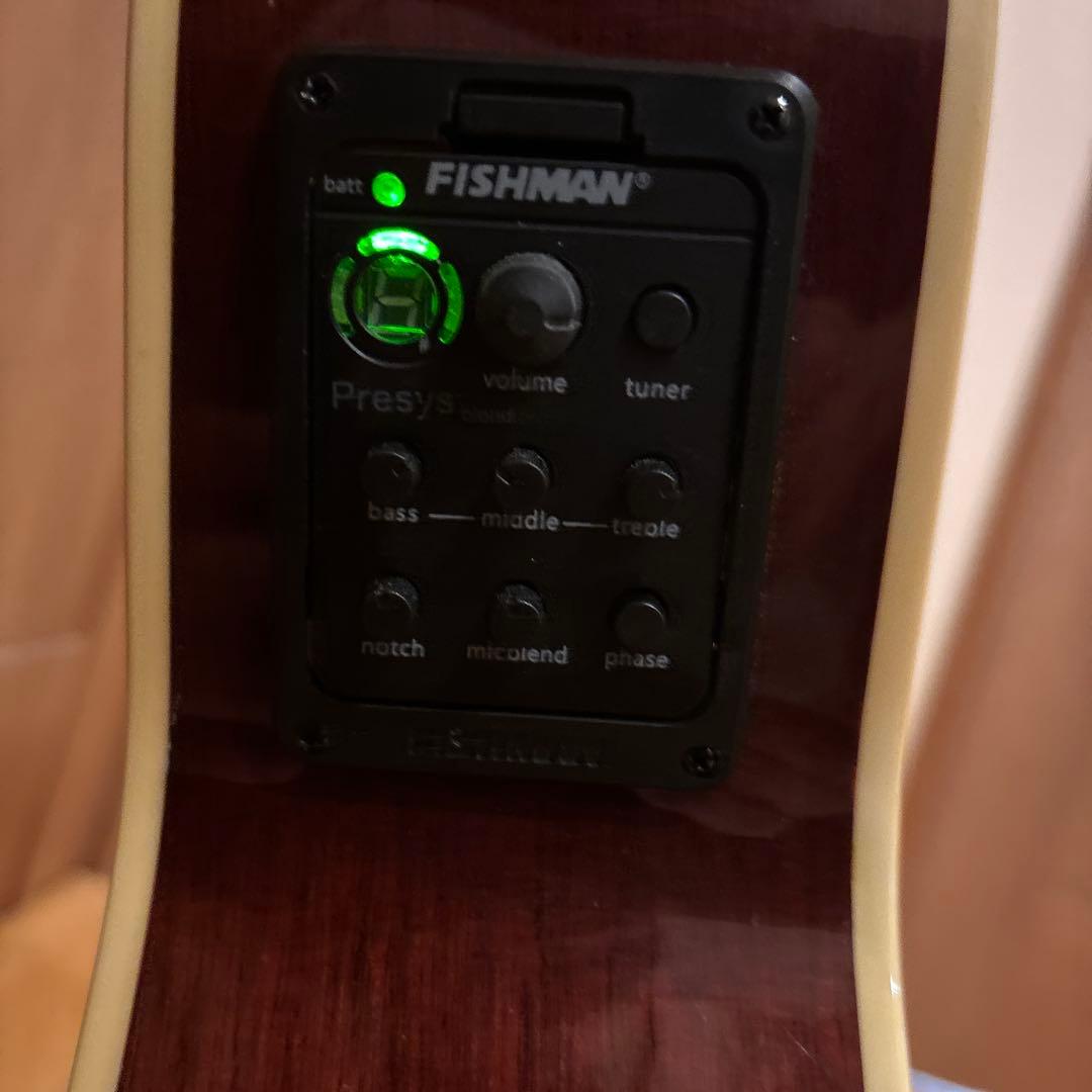 希少 Takamine エアコギター ゴールドパーツ仕様 新品弦張替済