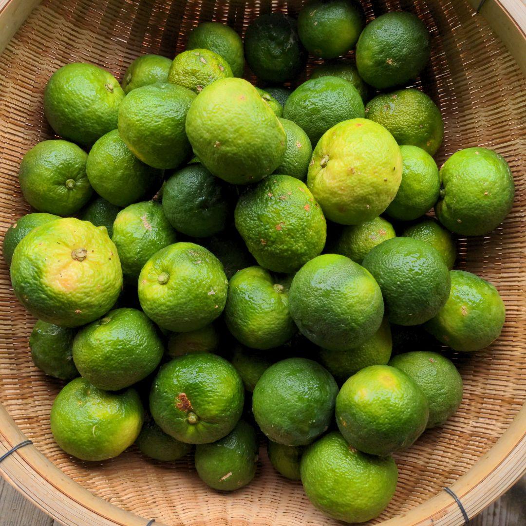 鍋に最高！ゆず１５kg（愛媛県産）。柚子ポン酢、柚子胡椒、うどん、そば、焼酎に◎