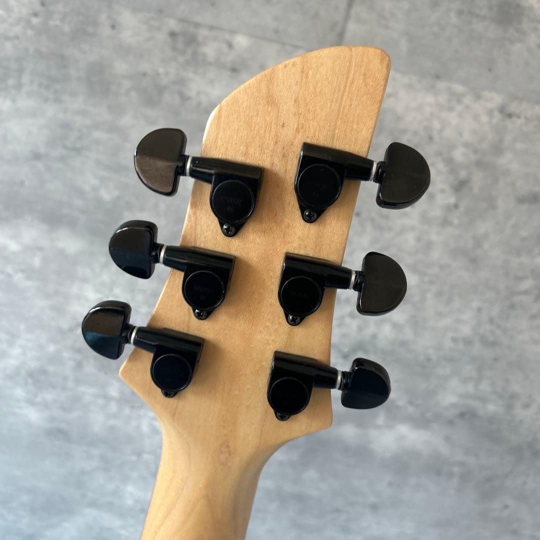 Fernandes APG-65S サスティナー搭載