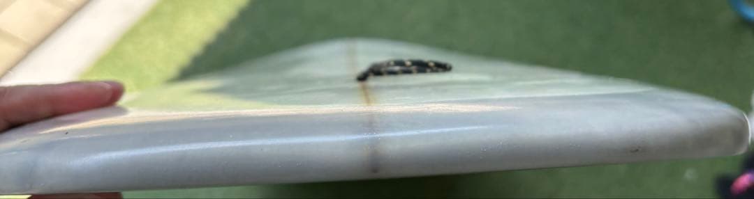 サーフィン・ボディボード DEADKOOKS Stubby 5'6