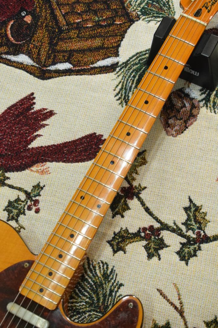 ギター Bill's Brothers EXCELLENT MAD CAT