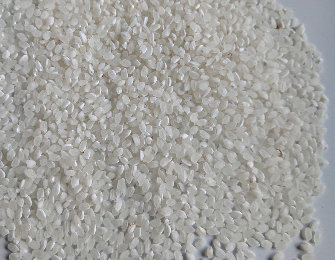 カ*ラ様 コシヒカリ 令和７年 20キロ 新鮮白米 減農薬 精米済み