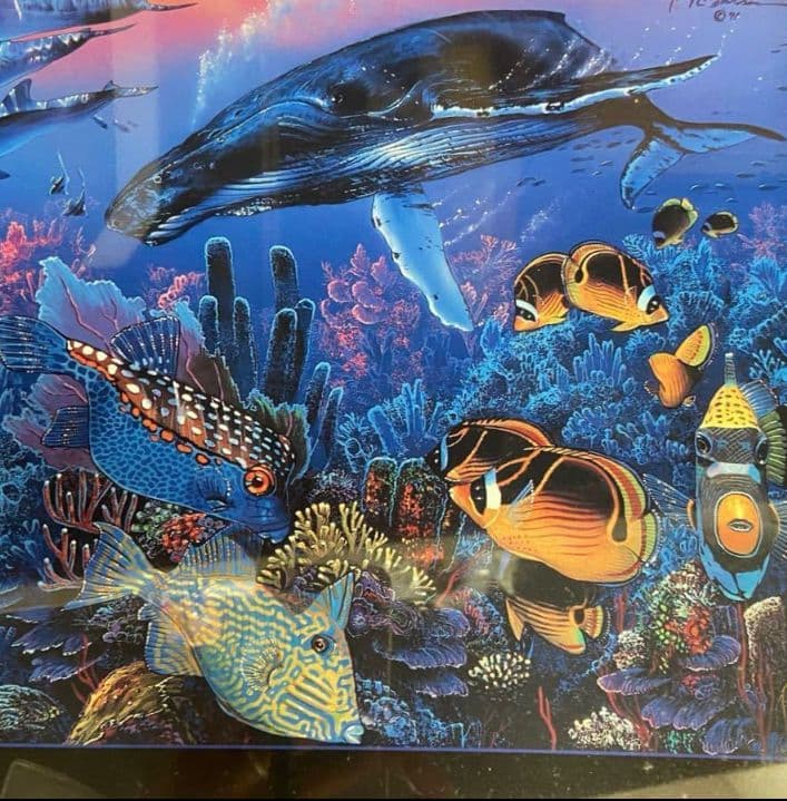 LASSEN (中古品) LAHAINA VISION 額付き