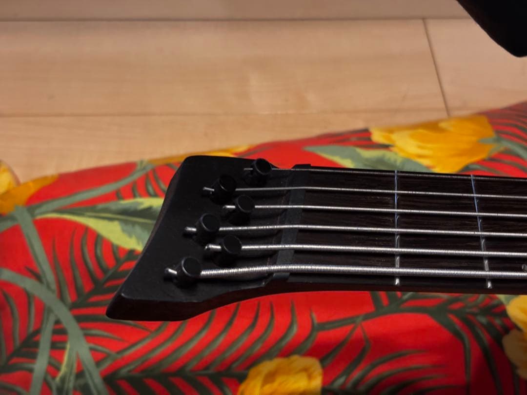 Ibanez EHB1506MS-BIF 6弦ベース