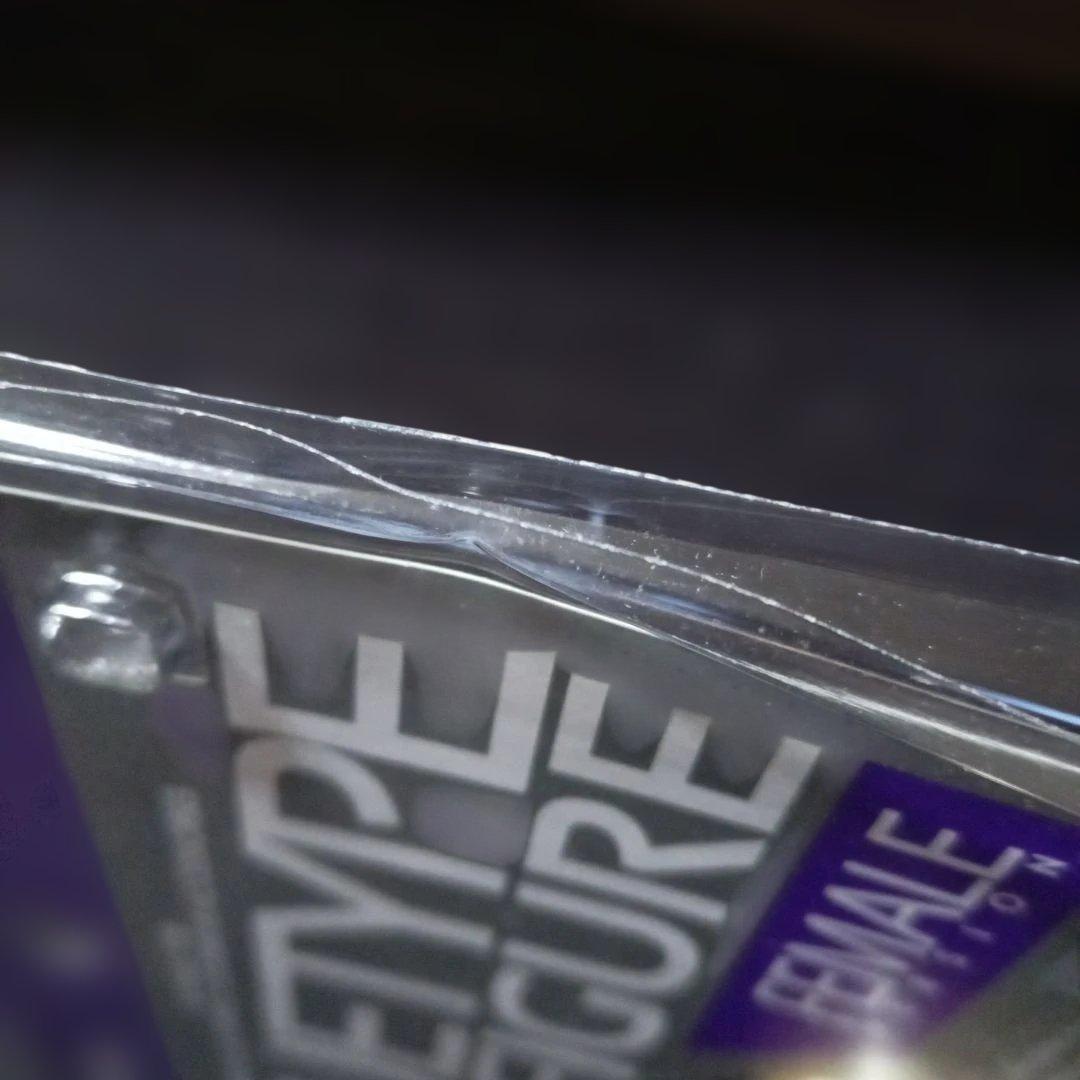 ホットトイズ トゥルータイプ28 1/6 コーカシアン白人女性素体 TTF11