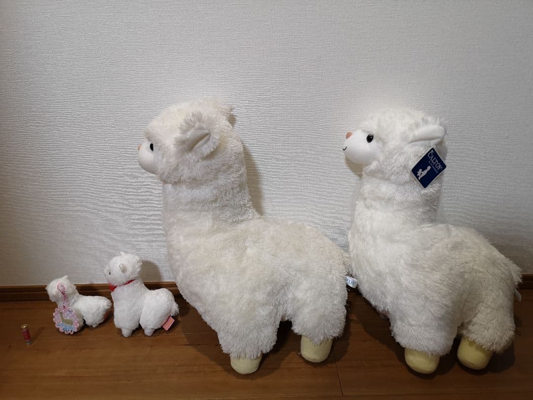 ★アルパカファミリー★