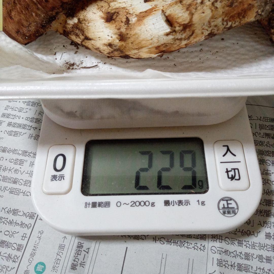 長野県産　松茸　229g
