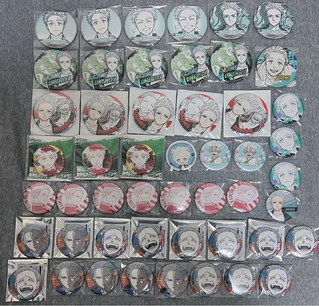 WIND BREAKER ウィンブレ 梅宮一 まとめ売り