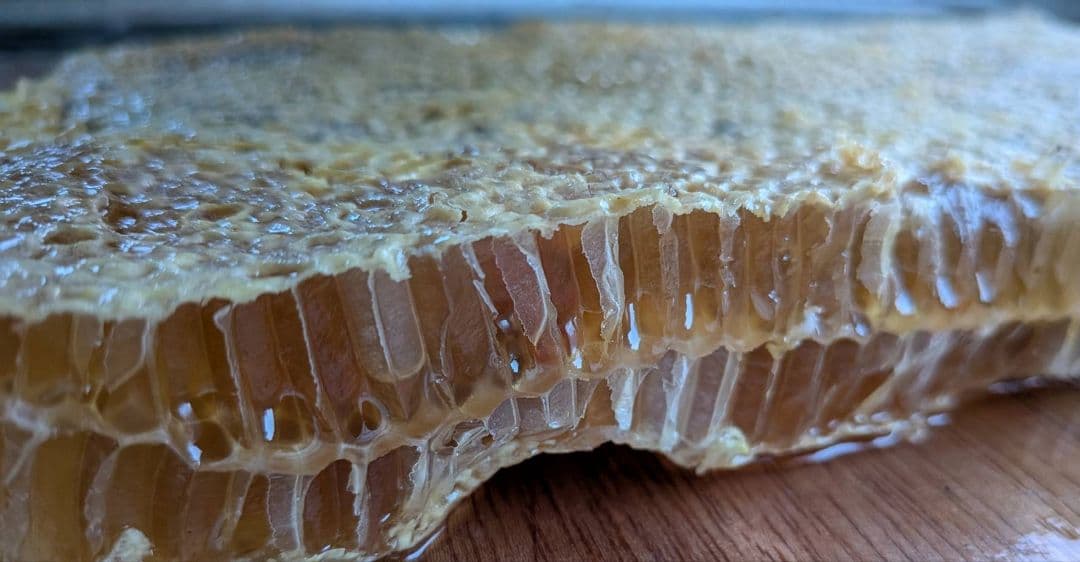 ニホンミツバチの蜂蜜 輝夜