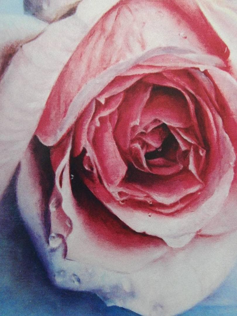 塩崎 敬子「薔薇宇宙2010-2」希少画集より、状態良好、新品高級額装付