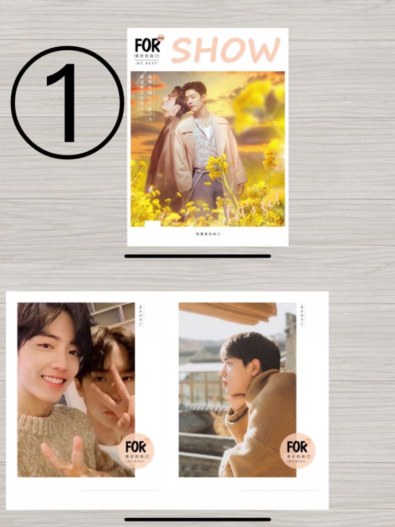 中国ドラマ 陳情令 The Untamed 肖戦 王一博 限定写真集