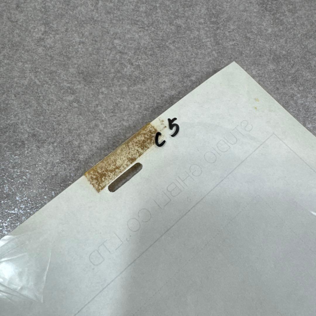 希少 おもひでぽろぽろ トシオ セル画 C5 スタジオジブリ