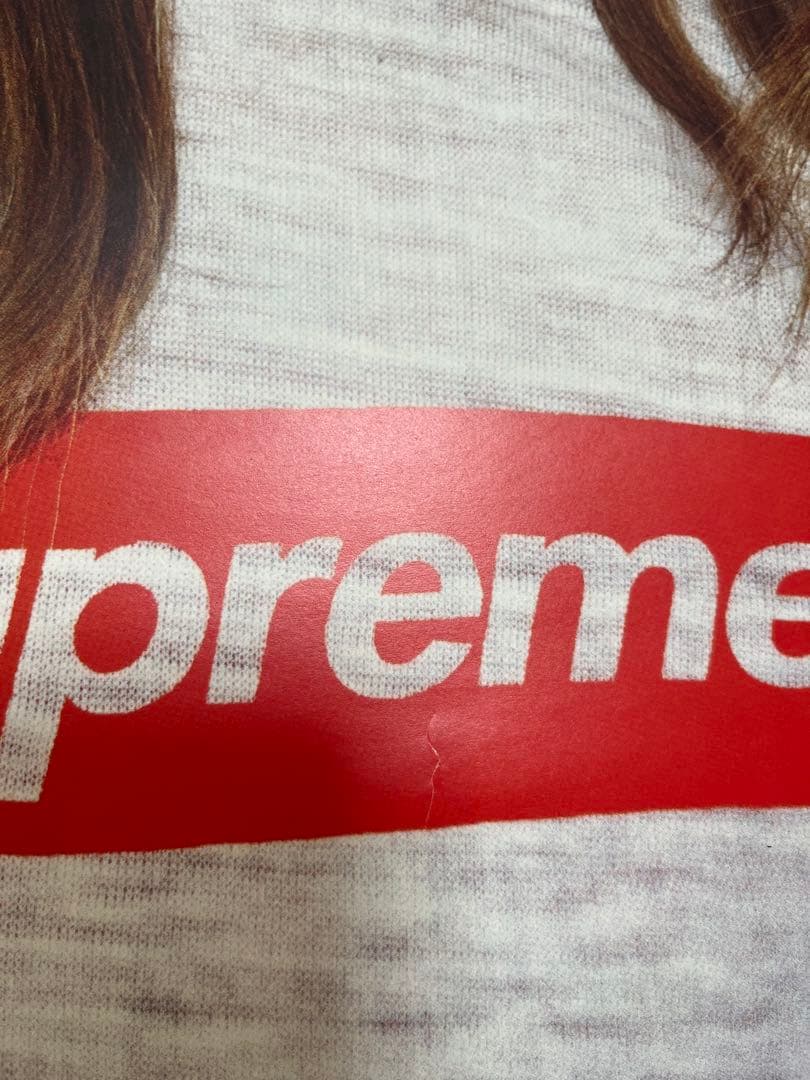 Supreme ポスター ケイトモス　レオパード柄　フレーム無し