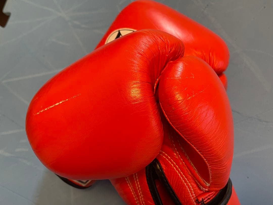 【海】WINDY 12oz ボクシンググローブ