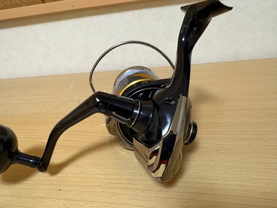 シマノ　19ステラ　SHIMANO STELLA SW8000PG