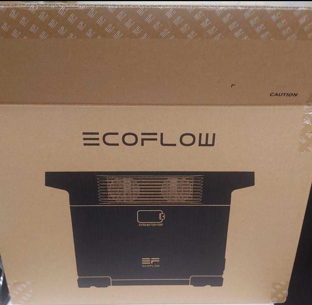 J*い様 正規整備済品　EcoFlow DELTA 2 ポータブル電源