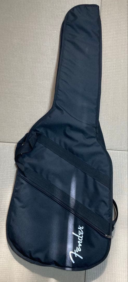 Fender Player Stratocaster カスタムショップ製PU