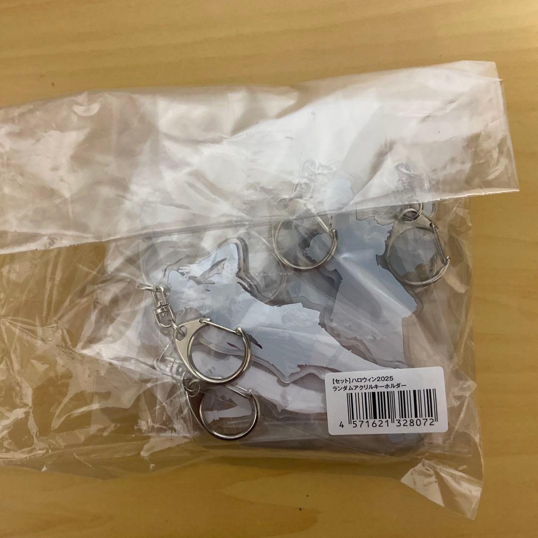 【新品未開封】ハロウィン2025 ランダムアクリルキーホルダーセット　スターダム