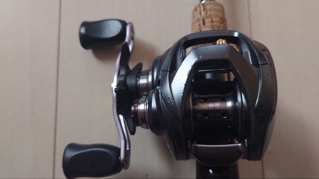 ダイワ スティーズA TW 左巻